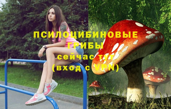 apvp Балахна