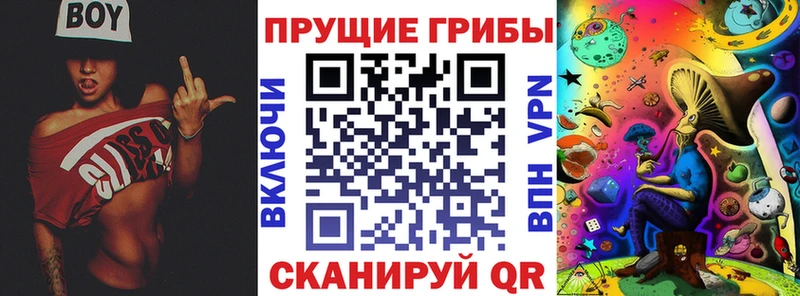 shop формула  Белинский  Галлюциногенные грибы мицелий 